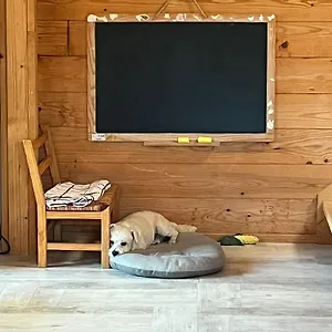 Familial En Bois A 150 M De La Hébergement de vacances